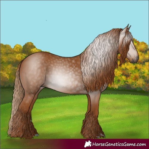 Horse Color:Gray Chestnut 