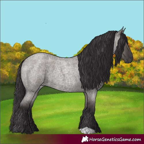 Horse Color:Smoky Grullo Roan 
