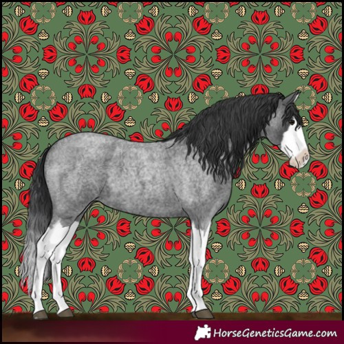 Horse Color:Blue Roan Splash 