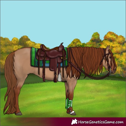 Horse Color:Red Dun