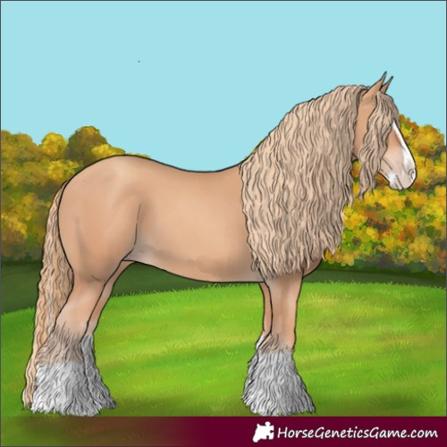 Horse Color:Gold Champagne Splash 