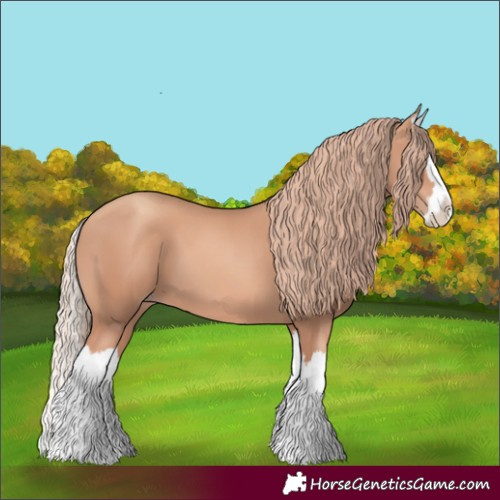 Horse Color:Gold Champagne Splash 