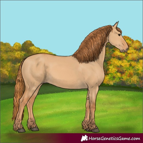 Horse Color:Red Dun 