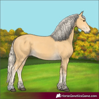 Horse Color:Palomino 