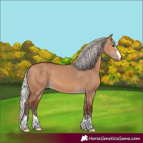 Horse Color:Silver Bay Dun