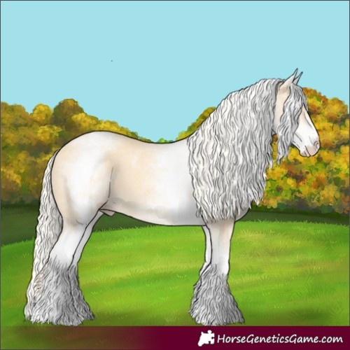 Horse Color:White Spotted Gold Cream Champagne 