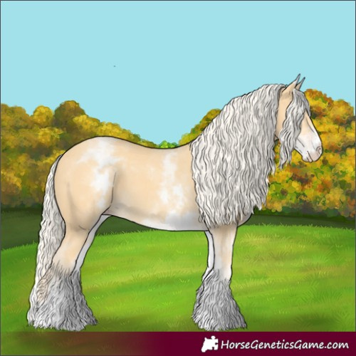 Horse Color:White Spotted Gold Cream Champagne 