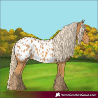 Horse Color:Palomino Near Leopard