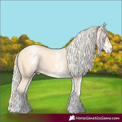 Horse Color:White Spotted Gold Cream Champagne 