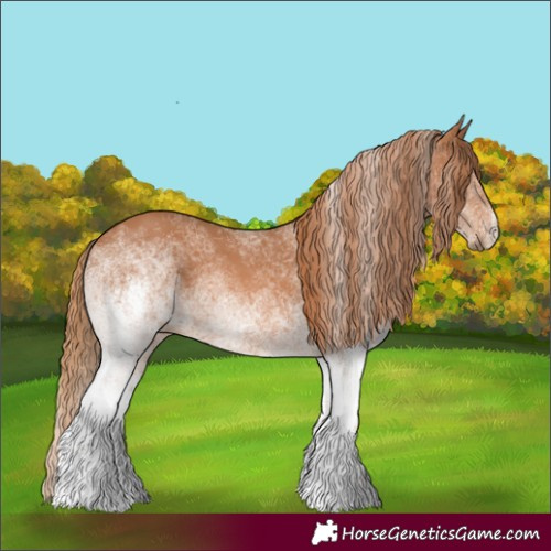 Horse Color:White Spotted Chestnut 