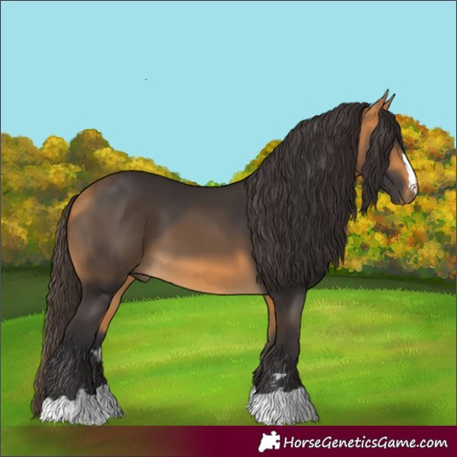 Horse Color:Buckskin 