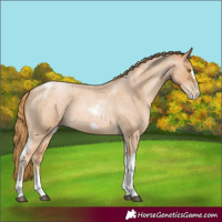 Horse Color:Red Roan Pearl Tobiano Frame 