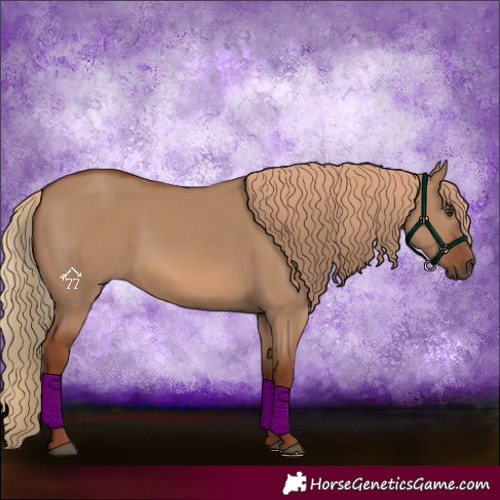 Horse Color:Red Dun Rabicano