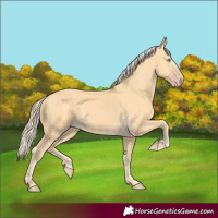 Horse Color:Gold Cream Champagne 