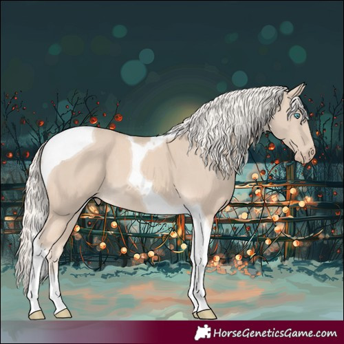 Horse Color:Cremello Tobiano 