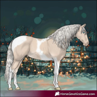 Horse Color:Cremello Tobiano