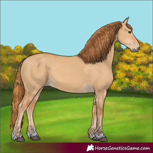 Horse Color:Red Dun 