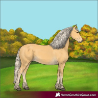 Horse Color:Palomino 
