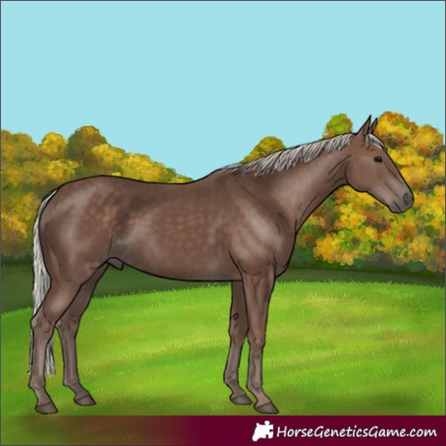 Horse Color:Silver Black 