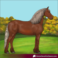 Horse Color:Chestnut 