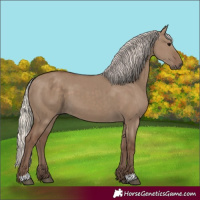Horse Color:Silver Grullo 