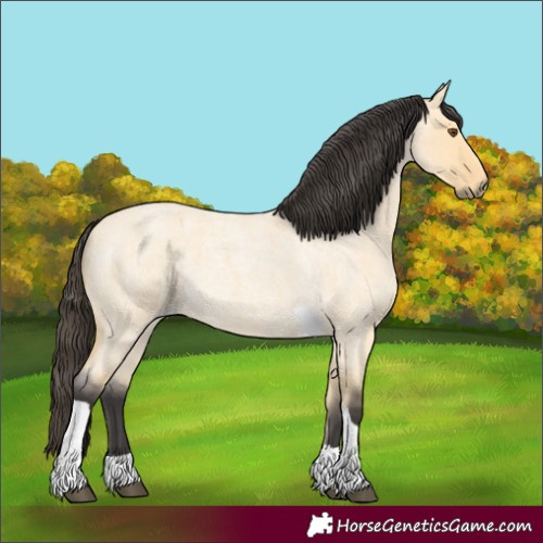 Horse Color:Buckskin Roan Dun Tobiano