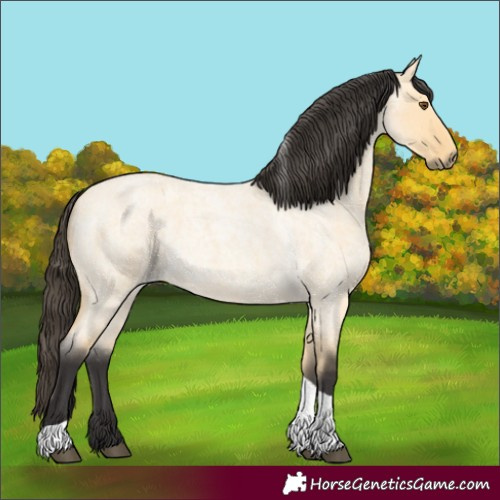 Horse Color:Buckskin Roan Dun Tobiano