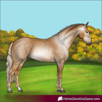 Horse Color:Gray Palomino 