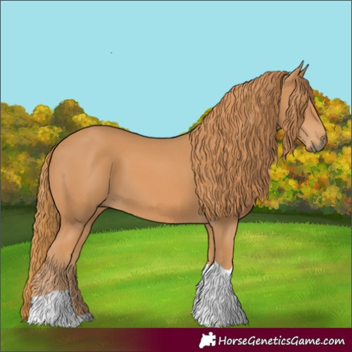 Horse Color:Chestnut Tobiano 