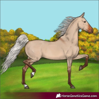 Horse Color:Silver Bay Dun 