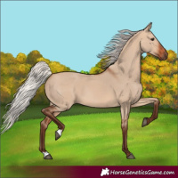 Horse Color:Silver Bay Dun 
