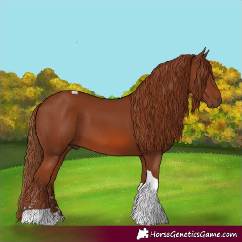 Horse Color:Chestnut Tobiano