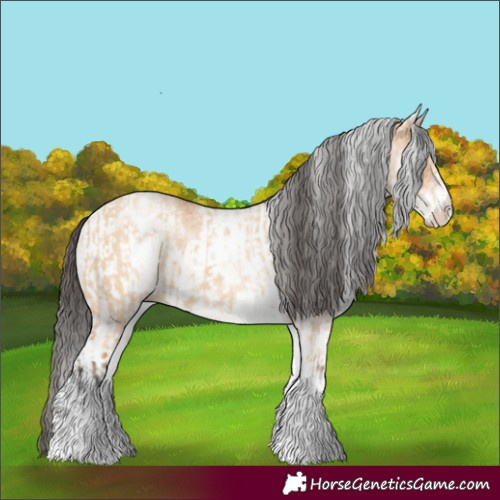 Horse Color:White Spotted Bay Dun Rabicano and White Spotted Bay Dun Rabicano