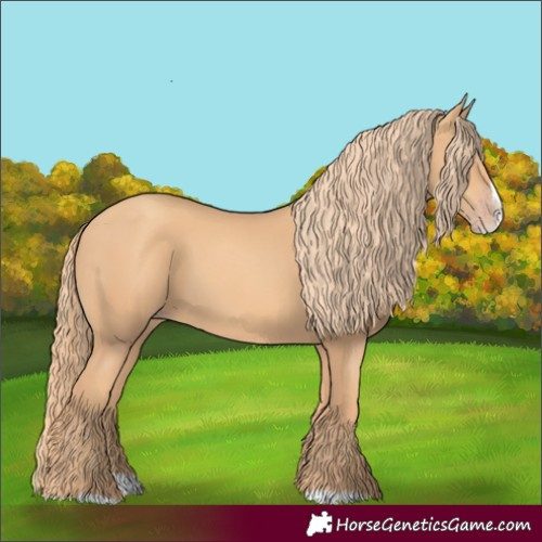 Horse Color:Gold Champagne Splash