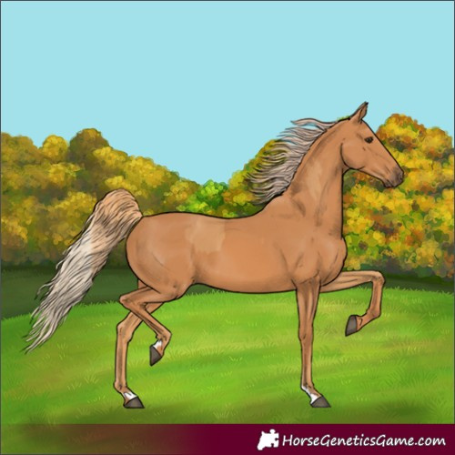 Horse Color:Chestnut and Chestnut