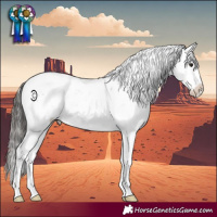 Horse Color:Buckskin Sabino Snowcap Rabicano 