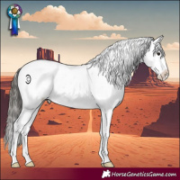 Horse Color:Buckskin Sabino Snowcap Rabicano