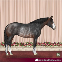 Horse Color:Brown Rabicano 
