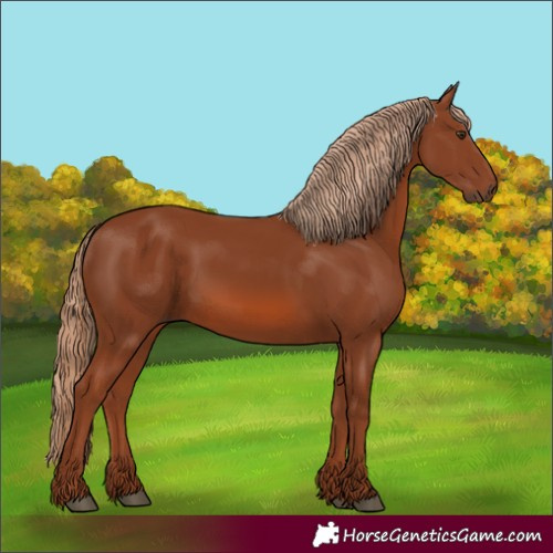 Horse Color:Chestnut 
