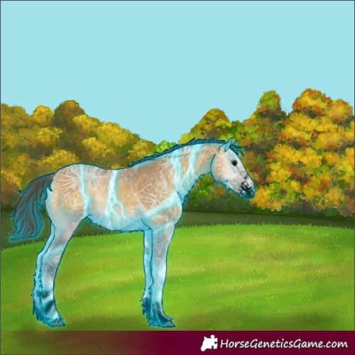 Horse Color:Void Thunderstruck Buckskin Ice Onyx Sabino 