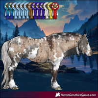 Horse Color:Powder White White Spotted Grullo Brindle  and Powder White White Spotted Silver Brown Dun Brindle 