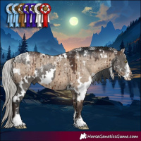 Horse Color:Powder White White Spotted Grullo Brindle and Powder White White Spotted Silver Brown Dun Brindle