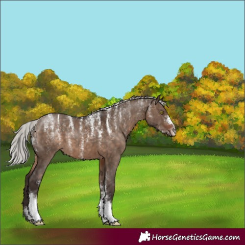 Horse Color:Powder White Silver Brown Dun Brindle 