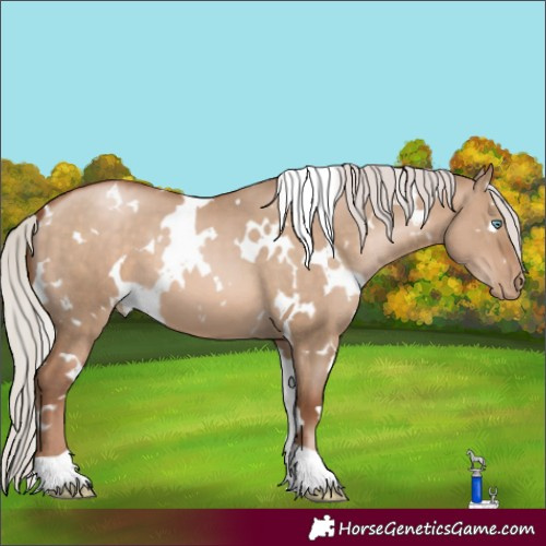 Horse Color:White Spotted Silver Brown Pearl Dun 