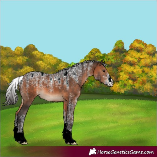 Horse Color:Powder White Brown 