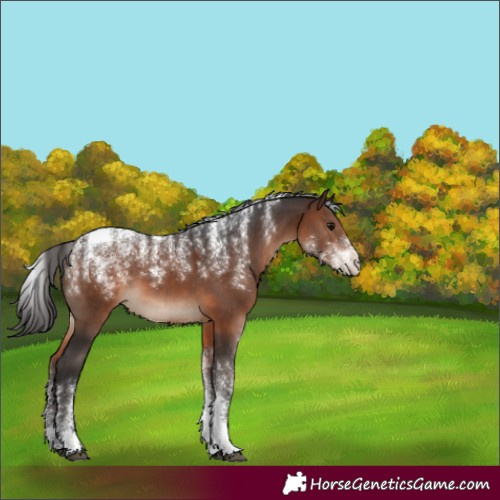Horse Color:Powder White Brown 