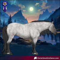 Horse Color:Grullo Roan Rabicano 