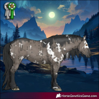 Horse Color:White Spotted Grullo Rabicano Brindle 