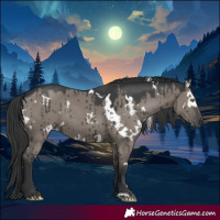 Horse Color:White Spotted Grullo Rabicano Brindle 