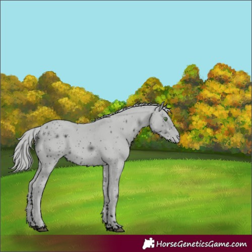 Horse Color:ERROR: UNKNOWN ANOMALY